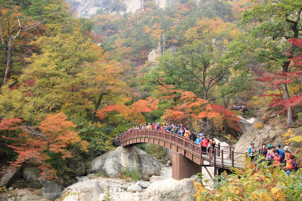 Tempat yang Harus Dikunjungi di Korea